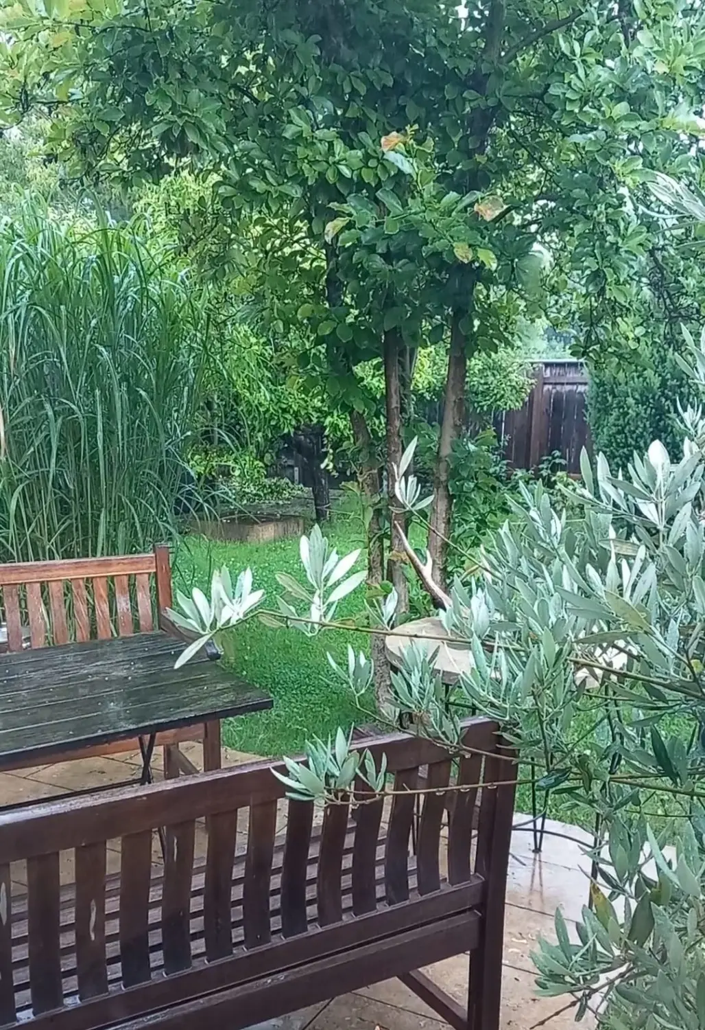 ImWandel, Gartenbänke